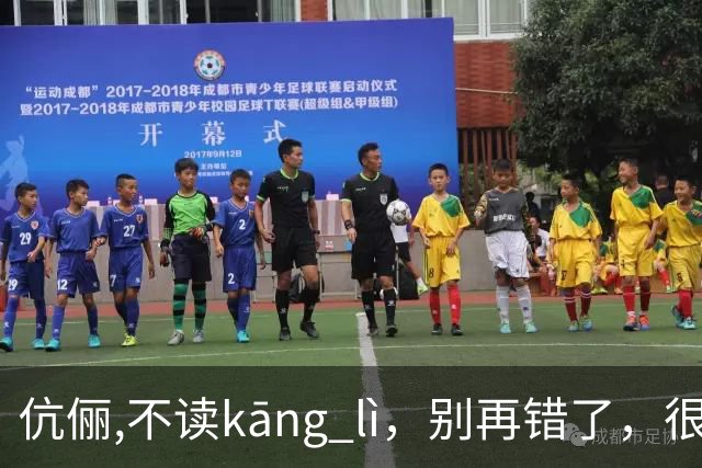 伉俪,不读kāng lì，别再错了，很丢人!