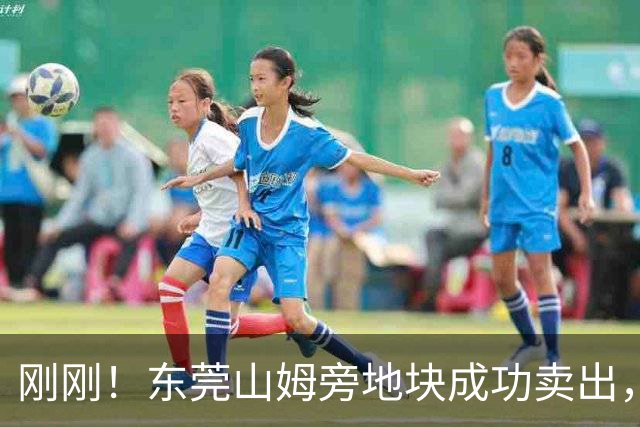 刚刚！东莞山姆旁地块成功卖出，要建什么？！