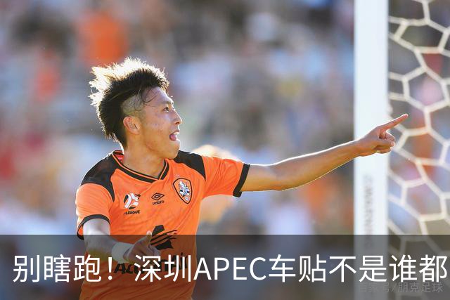别瞎跑！深圳APEC车贴不是谁都能领