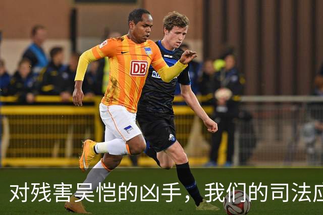 对残害吴恺的凶手，我们的司法应果断亮剑、坚决严惩！