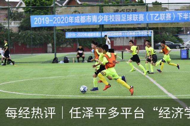 每经热评｜任泽平多平台“经济学家”认证被撤，笼统头衔不该成为无责的信用背书