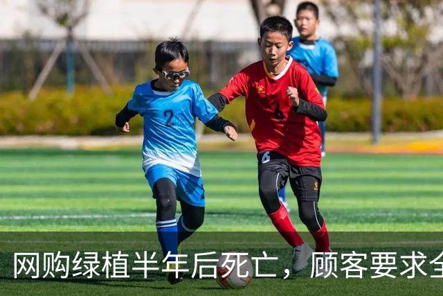 网购绿植半年后死亡，顾客要求全额退款，广州一商家拒绝后，被投诉到闭店，还被告上法庭，商家决定应诉：店都没了，我为什么要妥协？