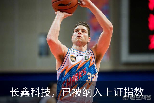长鑫科技，已被纳入上证指数